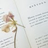 цветок в книге